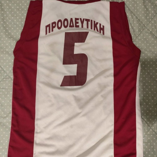 Proodeftiki Basketball Jersey new