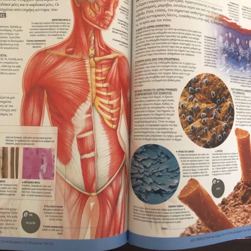 Encyclopedia Volume A’ like new