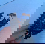 Season Time γυναικείο ρολόι με μαύρο λουρί, ασημί κάσα και μαύρο καντράν