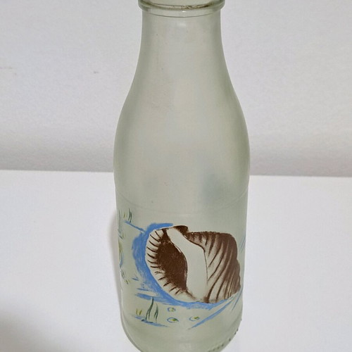 Set of frosted glass collectible bottles used, 5 pieces vintage