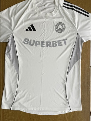 Adidas Panathinaikos Training Jersey 2026 like new
