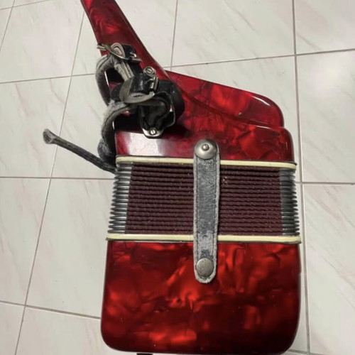 Parrot accordion