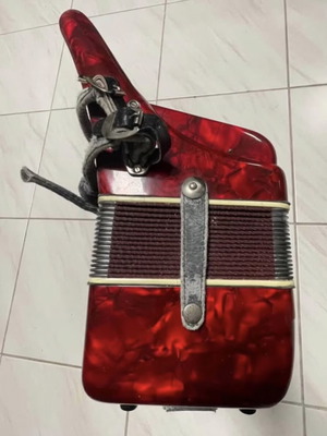 Parrot accordion