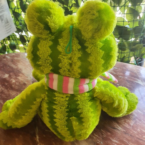 Frog plush toy like new