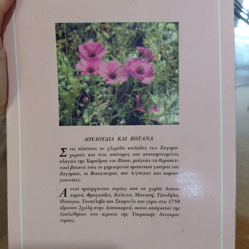 Ways of Good Behavior in Modern Society book