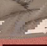  Lingerie χακί τοπ