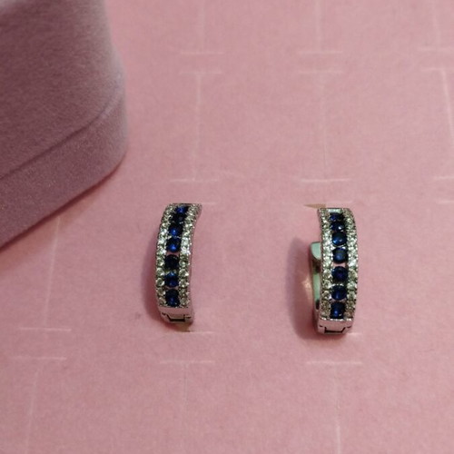 Stainless steel hoop earrings with impressive blue and white zirconia new