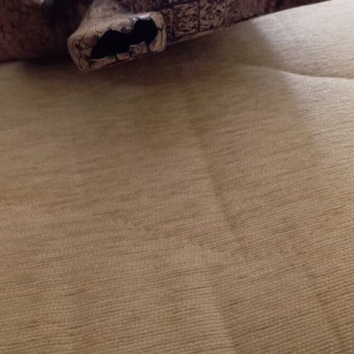 Turtle decorative item used, broken leg