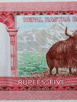 5 Rupees Banknote Nepal 2020 uncirculated