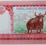 5 Rupees Banknote Nepal 2020 uncirculated