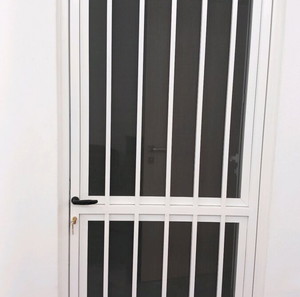 Ασφαλεια και πόρτα  σίτα 100χ225