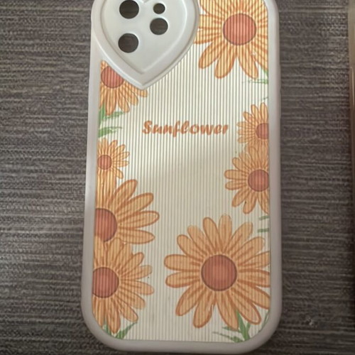 iPhone 12 cases used, set of 6