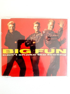 Big Fun Can't Shake The Feeling CD maxi single used, pop