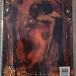 Shadowman #8 comic book mint condition, dark fantasy voodoo