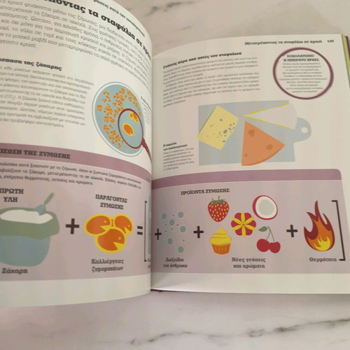 Wine A Journey of Tasting book like new