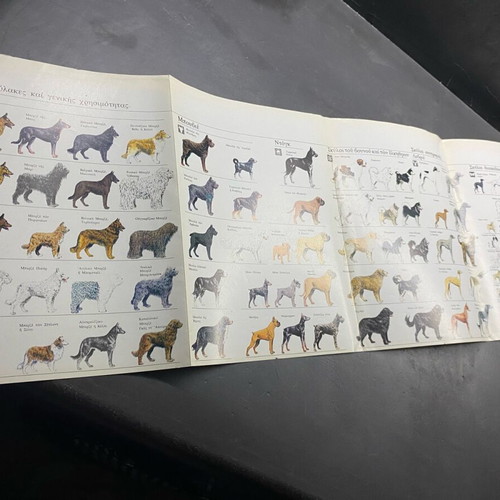 The Big Book of the Dog 2 volumes like new