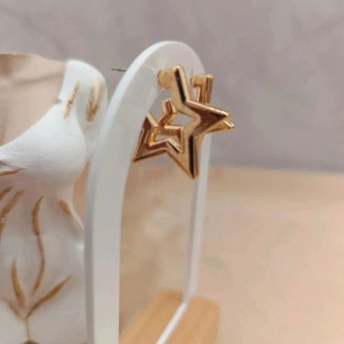 Gold Star Earrings new