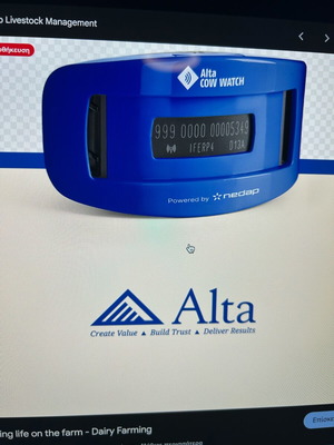 Συσκευές GPS Alta Cow Watch, πακέτο 15, για βοοειδή