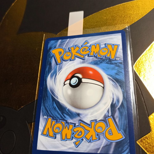 Bidoof Crown Zenith 2023 Pokemon card