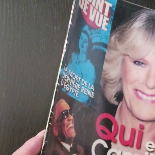 Royal Magazine Point de Vue March 2005, Qui est Camilla?