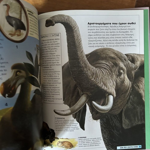 Children's books about animals, set of 2