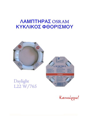 Osram Circular Light Bulb 22W/765 New