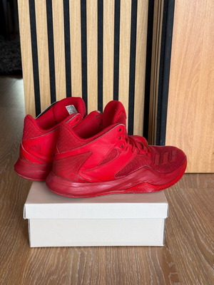 Παπούτσια Μπάσκετ D. Rose μεταχειρισμένα, κόκκινα, μέγεθος 43 1/3