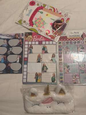 Unicorn pencil case set with Barbie, Minnie, Elsa labels and body tattoo