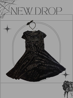 moonstruck velvet skater dress Moonstruck Velvet Skater Dress [Ivory]