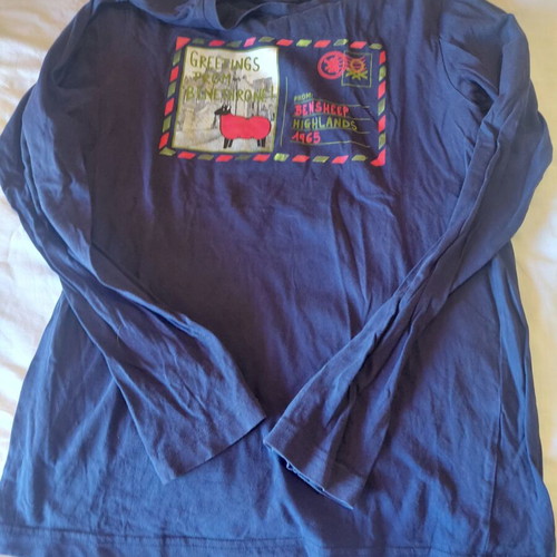 Benetton long sleeve top like new, age 12, blue