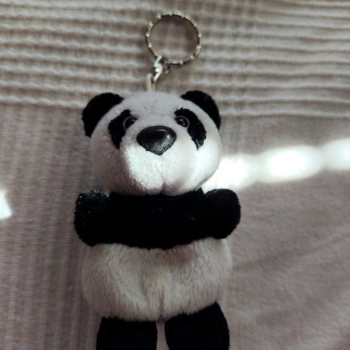 Keychain panta used, black and white