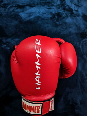 Boxing gloves like new
