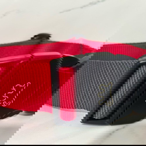 Немски нашийник нов за средни и едри породи