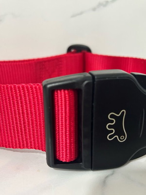 German dog collar for medium and large breeds new