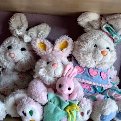 Stuffed bunnies used, freshly washed for hugs