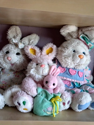 Stuffed bunnies used, freshly washed for hugs