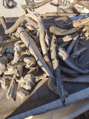 Driftwood for artists, pack of about 80 pieces, natural