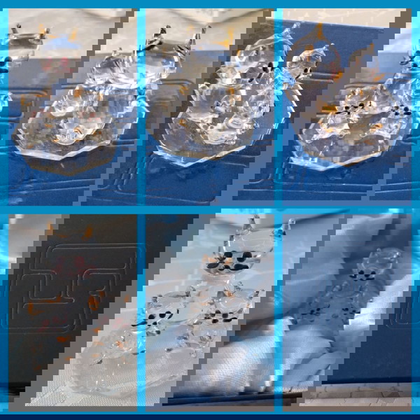 ΣΠΑΝΙΟ SWAROVSKI. Η ΓΑΤΑ ΜΕ ΤΑ ΓΑΤΆΚΙΑ ΤΗΣ.