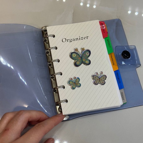 Organiser and notebook with pen new