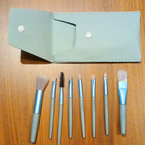 Makeup brush set new 8 pcs with carrying case