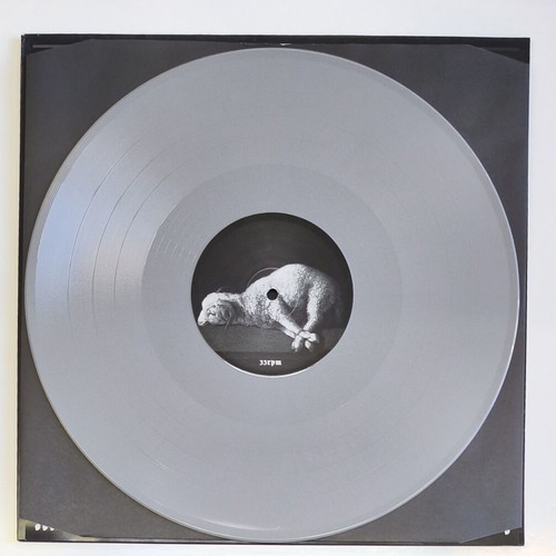 Protestant In Thy Name 12" LP silver vinyl 2014 new metal album