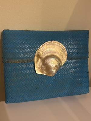Summer bag with shell like new