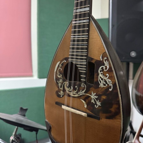 Rafaelle Calace Mandolin Model 15 New Neapolitan