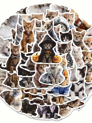 Cat stickers new, pack of 50 pieces