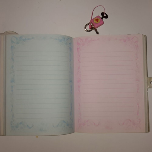 Vintage diary new with lock