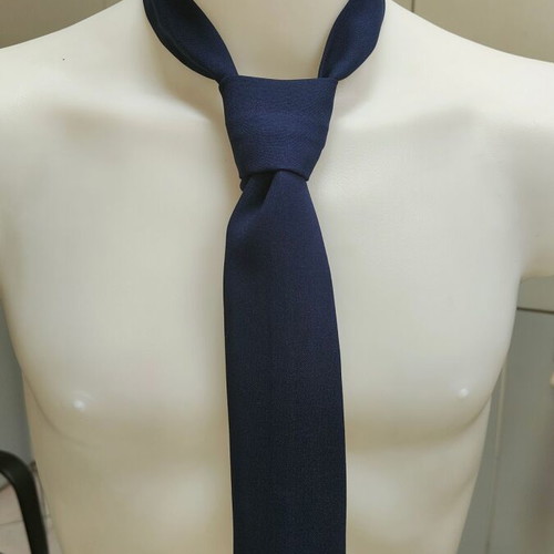 Palatino children's parade tie blue new