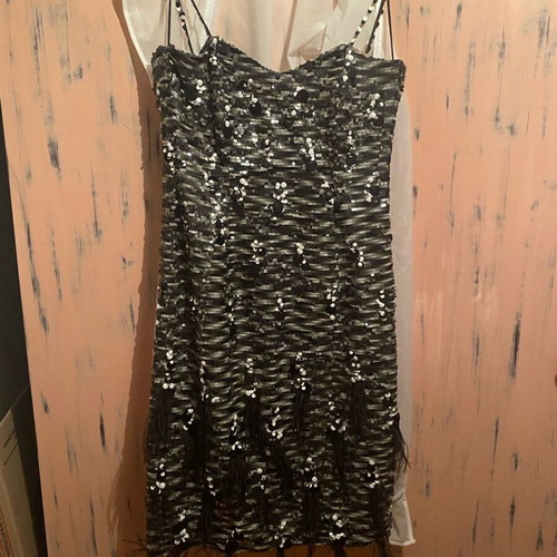 Collectible dress new, black and gray with beads and feathers