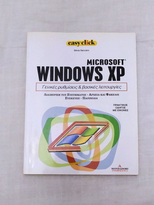 Internet Windows XP book like new