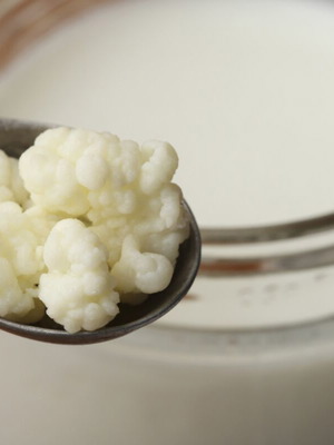 Kefir organic grains 10g new