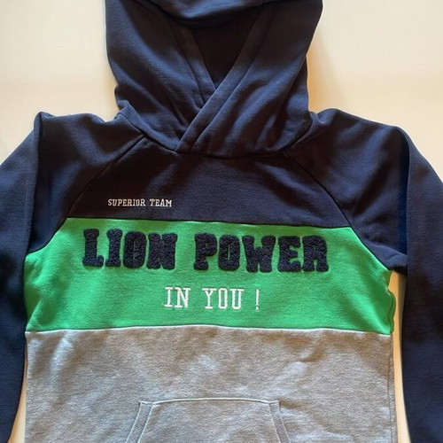 Orchestra Lion Power kids' hoodie, blue green grey, size 146 cm